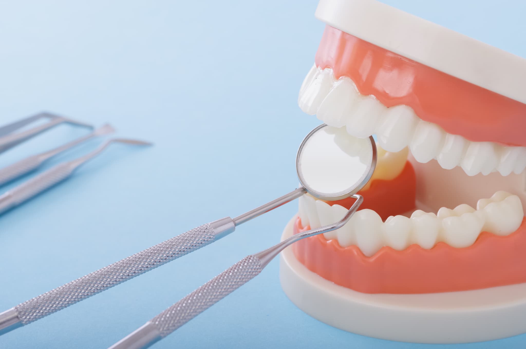 歯の模型とデンタルミラーなど